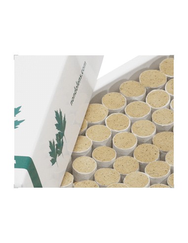 Moxa ND46, Moxa de Alta Qualidade para Agulhas, Pré-Cortada, NonDolens