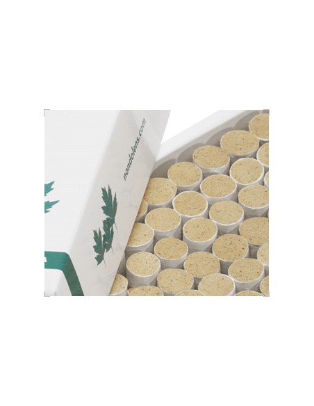 NonDolens | Moxa de Alta Calidad para Agujas, Precortada