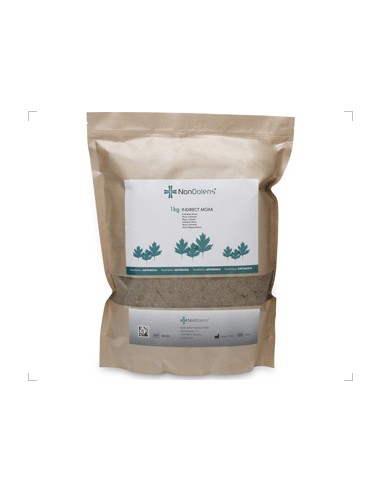 NonDolens | Moxa Indireta da China