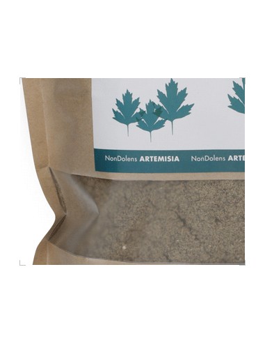 NonDolens | Moxa Indireta da China