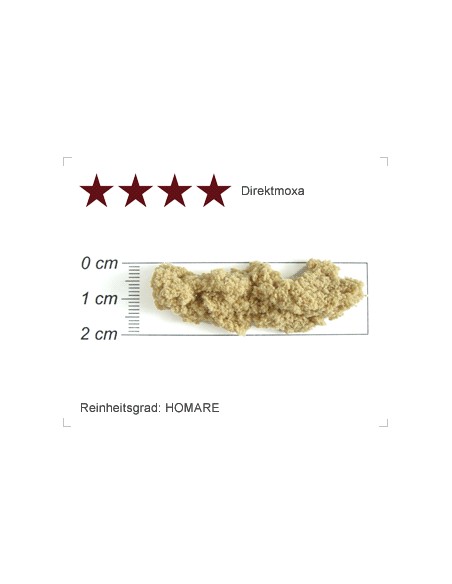 Kobayashi-rouho | Direct Moxa, Purity Grade: 4 Stars (Tenkyuyo Homare)