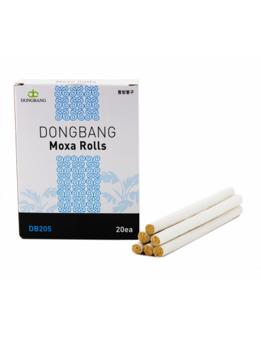 Dongbang | Puro de Moxa Premium (20 uds.)