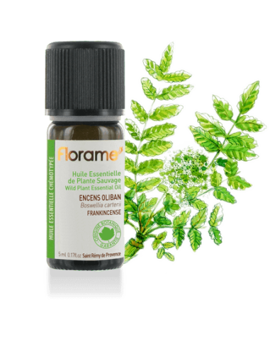 Florame | Wild Frankincense Tree