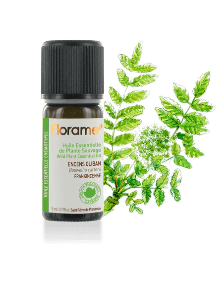 Florame | Wild Frankincense Tree