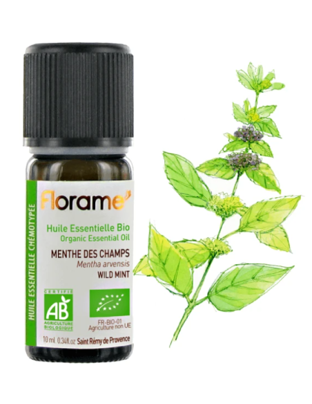 Florame | Menta Silvestre