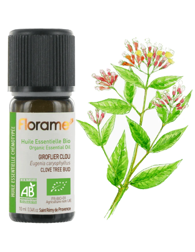 Florame | Cravo-da-Índia
