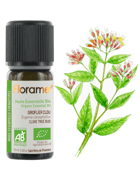 Florame | Árvol del Clavo