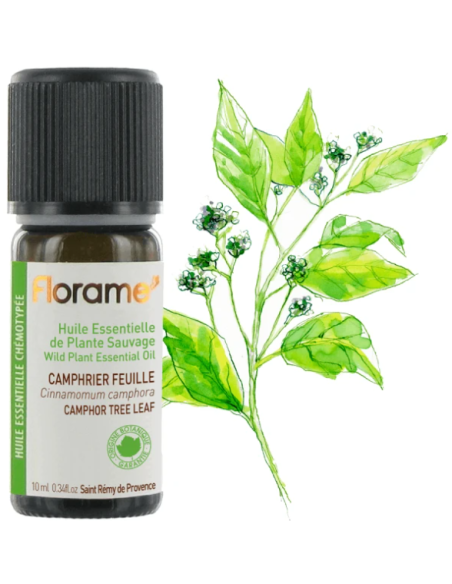 Florame | Camphor Tree Leaf