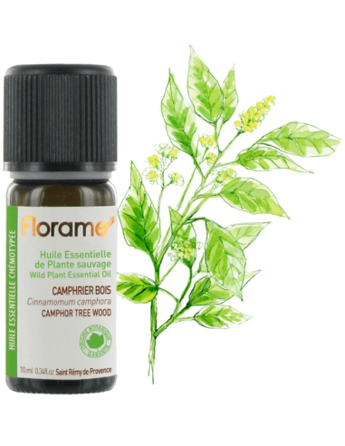 Florame | Camphor Tree Wood
