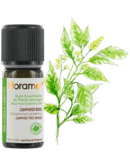 Florame | Madera de Alcanforero