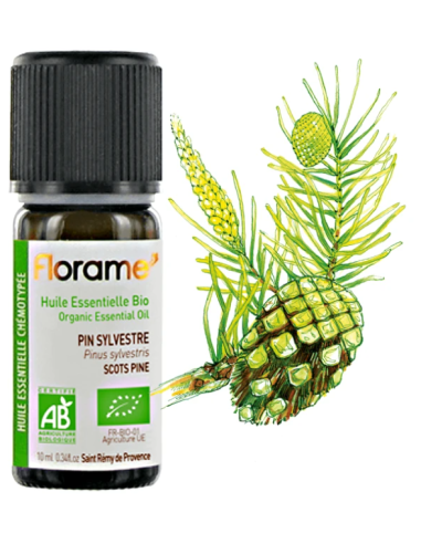 Florame | European Red Pine