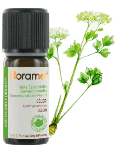 Florame | Semilla de Apio